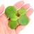 705778ec8cb558c5ada7286be25698c8.webp