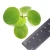 01cdf0951b246ed81046dd97824a1276.webp