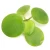 5ca9f4a3cbdd337b2b43482ebf46daa0.webp