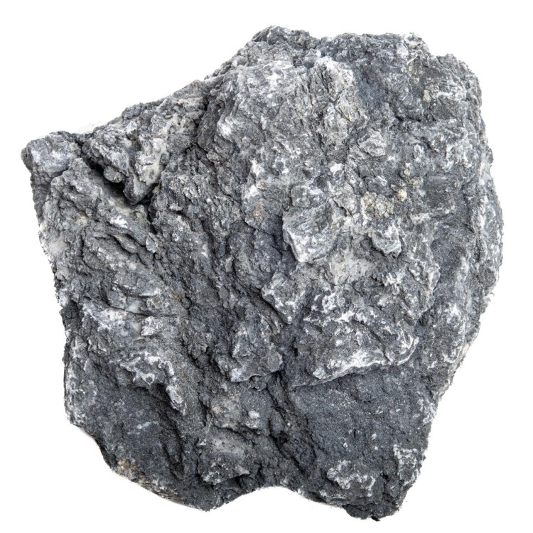pgdwvspgdwvs,3.jpg