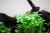 7dd5ff5f2fcdd80d62be3df4db6b1676.webp