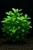 017a4989eb4797eab5df55e0f79f2390.webp