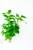 54f38a4c0d3849c5b7e93d4b4cb37bff.webp