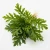 72feb8ed5a9b694c9233e776eb4754b0.webp