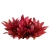 d48bb63478163daf7ea282086c749b33.webp