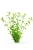 56913cebcc01101db0bae542f63aa5b3.webp