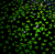 af6217a32a3c966535e2a4a41e90d8de.png