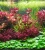4ab728c1e0feffd6a6cafd7a472753de.webp