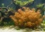 7378bc8b4e978abe1975ba5e18907bf9.webp