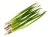 7ea33daabce10f81629da87ffc39b3d2.webp