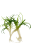 6b30fee66663008bd3a4e75dcb533dad.png