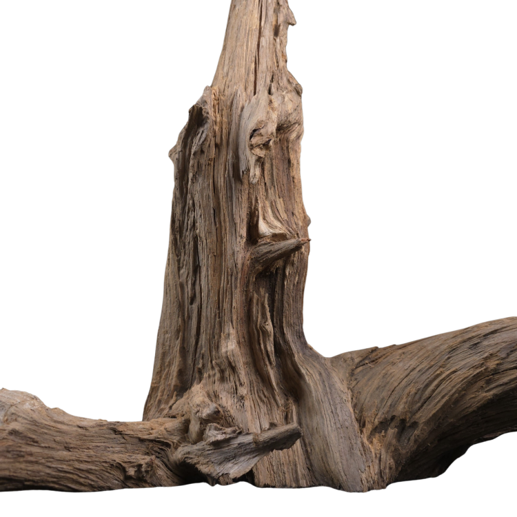 8cff397508b8b5a64169ac029657ecb1.png