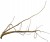 f4e425f7be5f086d6ceb05352e5476ab.jpg