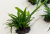 a501113d81d1f96c4fec040eb25f0584.png