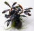 1b28f966291e383e601fd05cb1fa99db.png