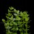 eb79abbe13efff53e7a76a465e5c575b.jpg