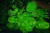 1ea9a556b1c17205ef4a028e5a9dd4a3.png