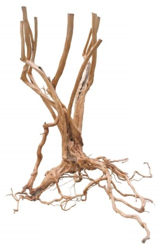 pgdfws005pgdfws005,1.jpg