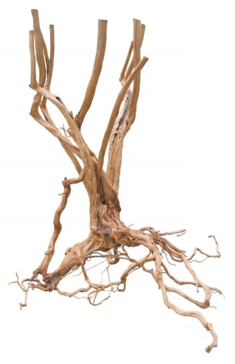 pgdfws005pgdfws005,1.jpg