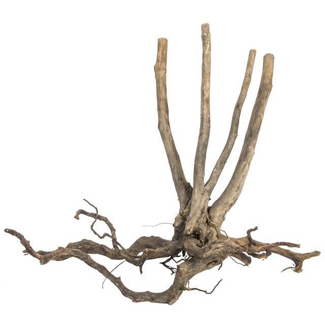 pgdfws005pgdfws005,3.jpg
