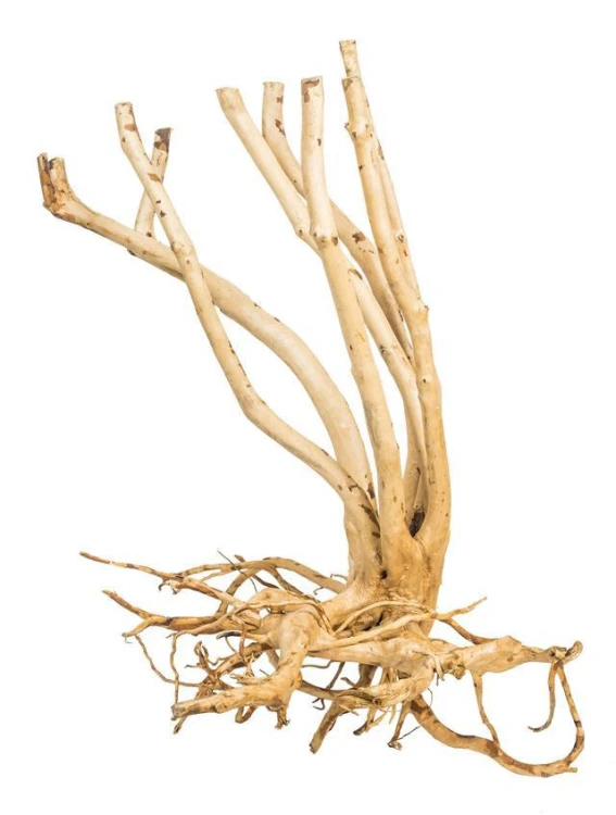 pgdfws005pgdfws005,10.jpg