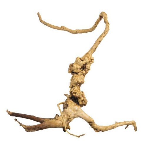 pgdrmwn003pgdrmwn003,1.jpg