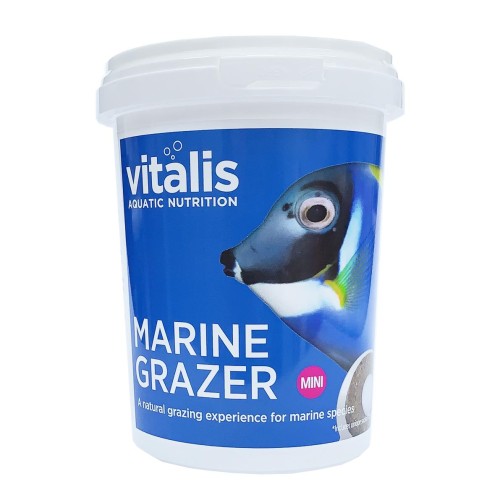 vitmg00240vitmg00240.jpg