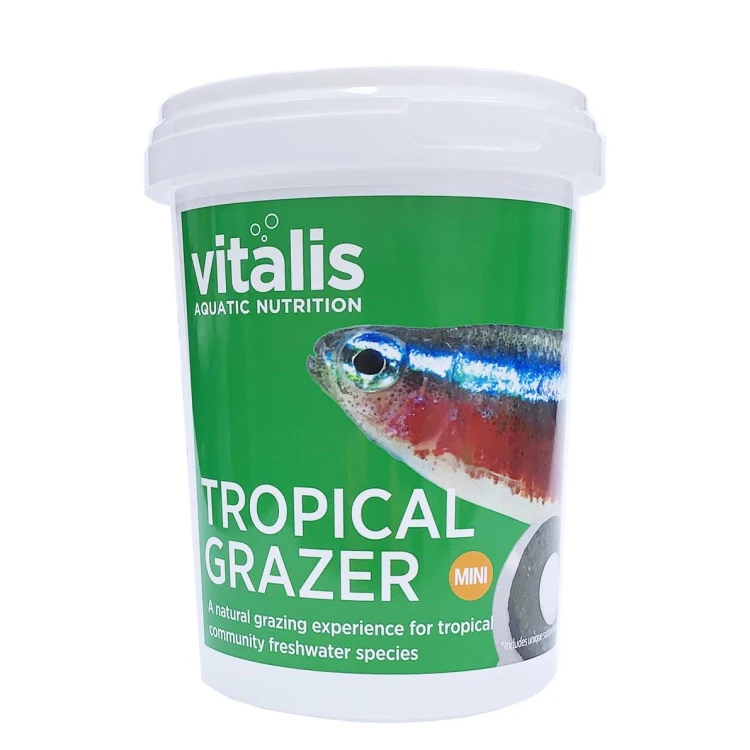 vittg00240vittg00240.jpg
