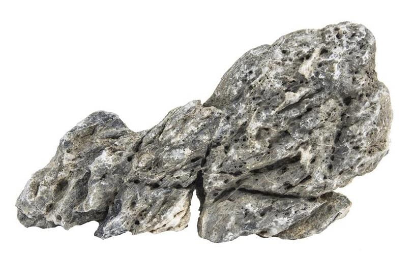 pgdssnpgdssn.jpg