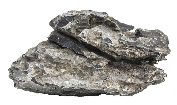 pgdssnpgdssn,4.jpg