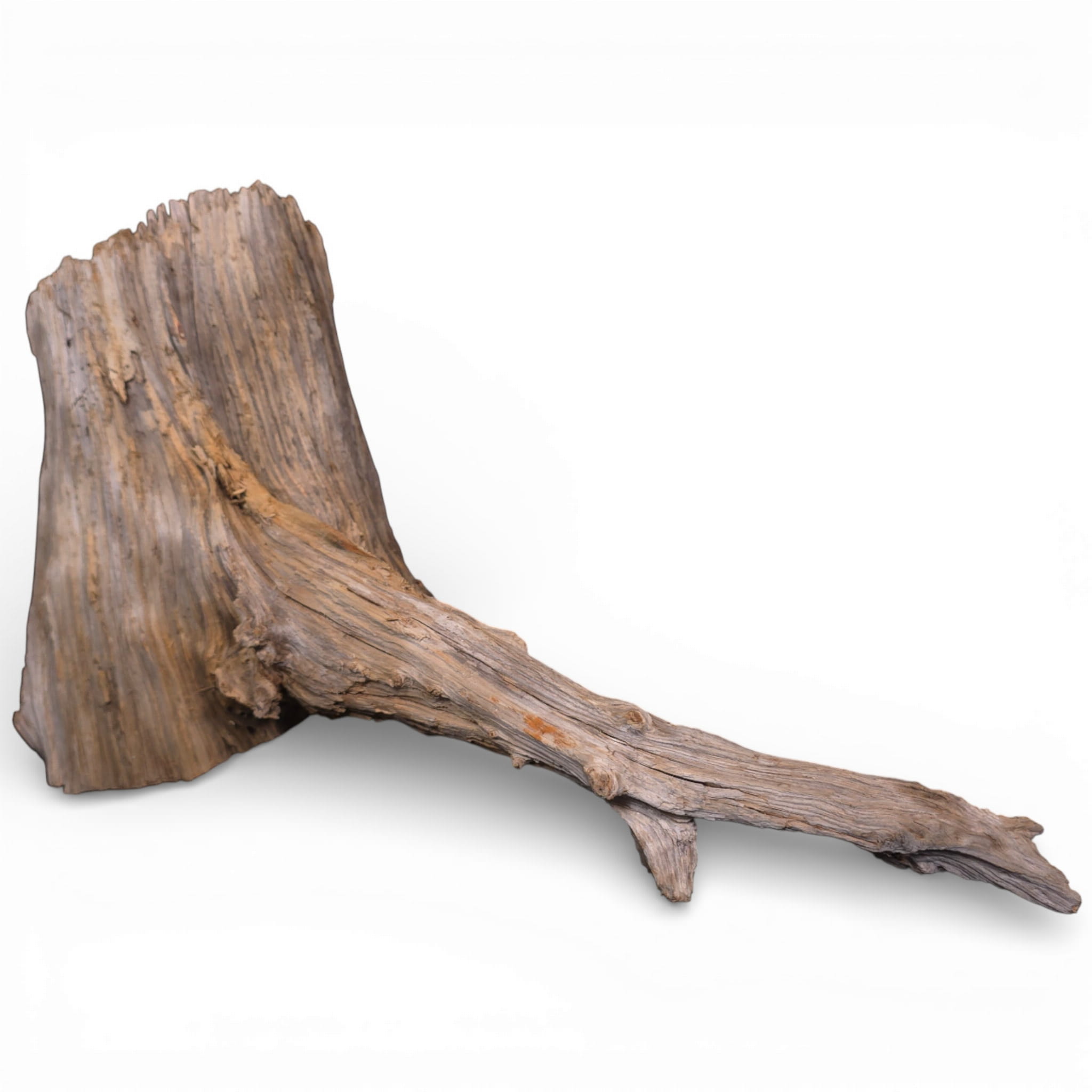 308d78881e4f9935f7cdca62c971395b.jpg