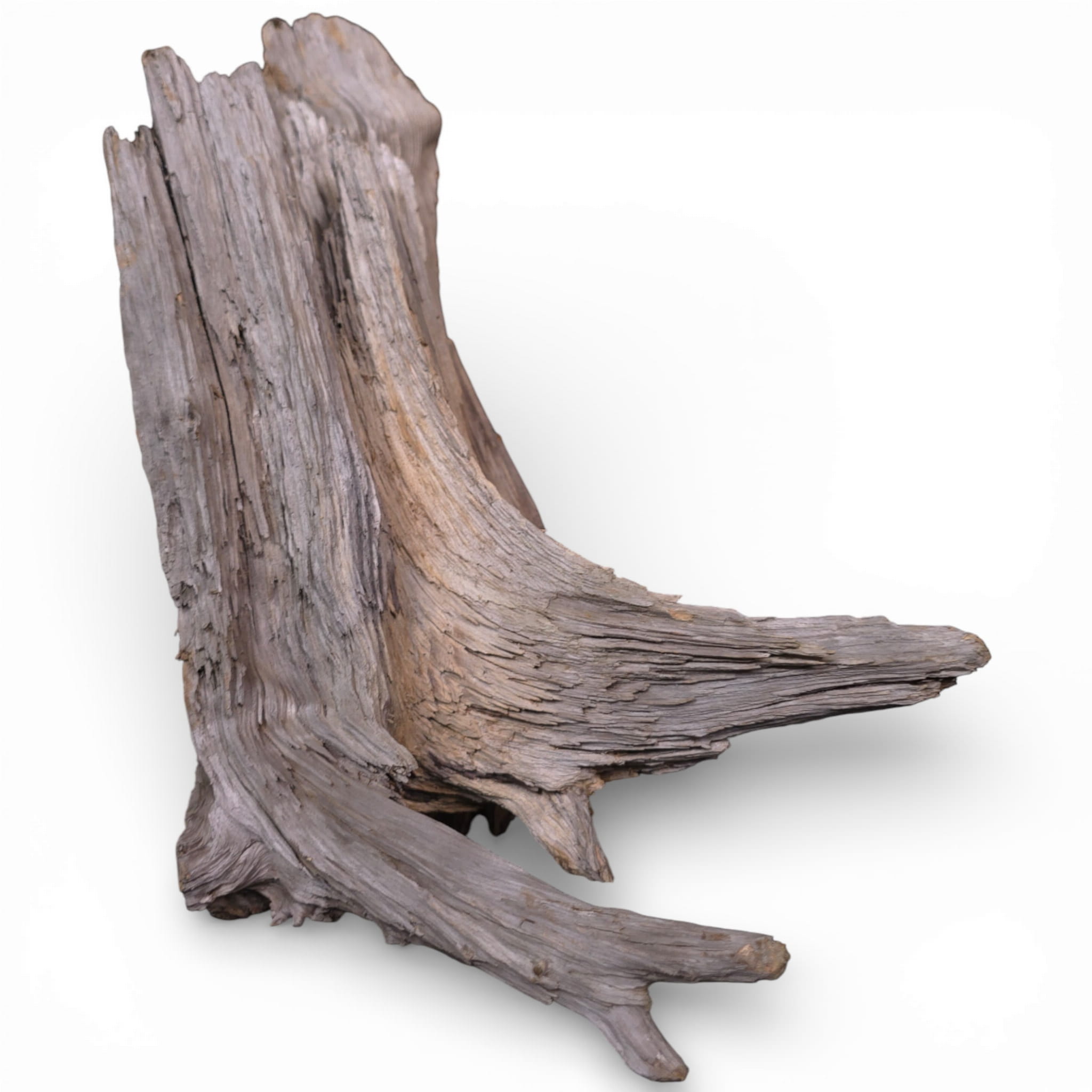 9f459eaf818151728599669f39d4b8c9.jpg
