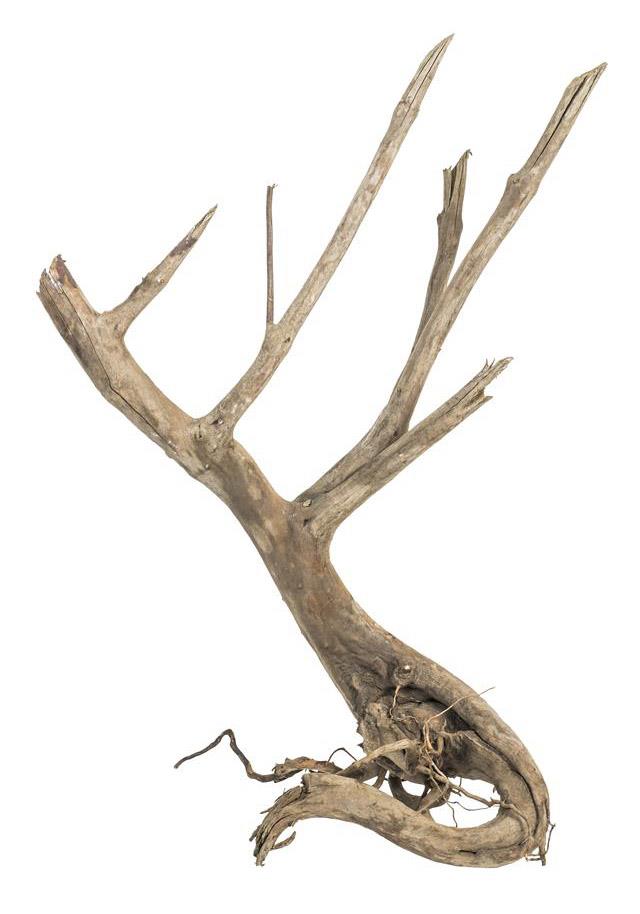 pgdfws005pgdfws005,2.jpg