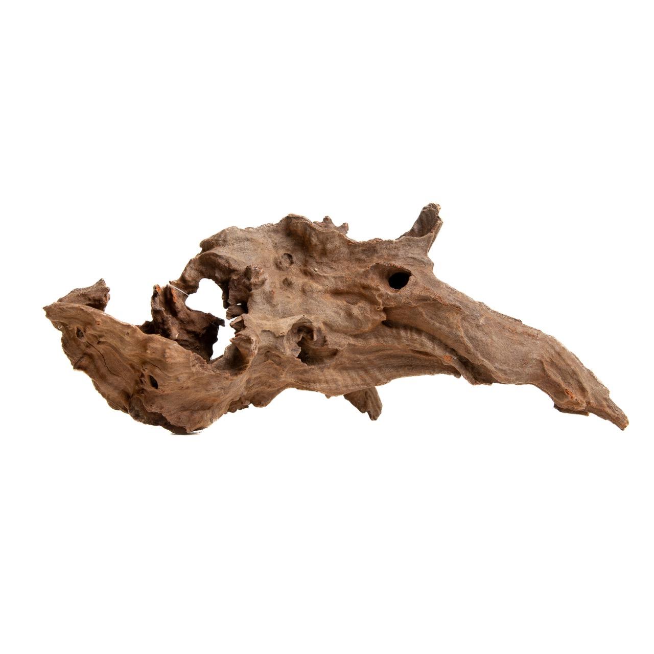 pgdjwlpgdjwl,2.jpg