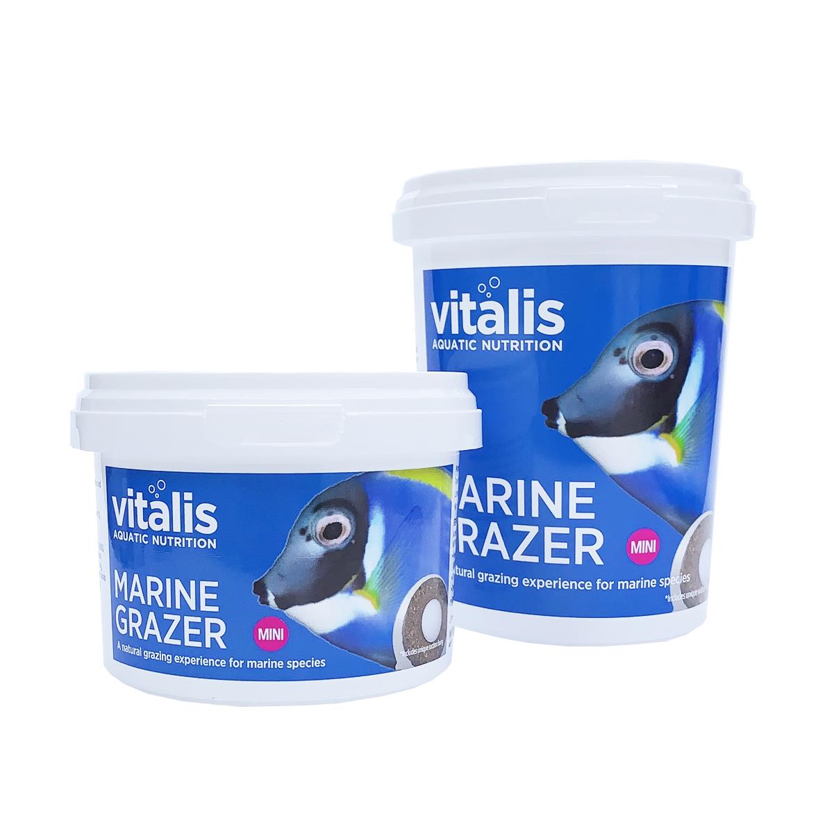 vitmg00240vitmg00240,2.jpg